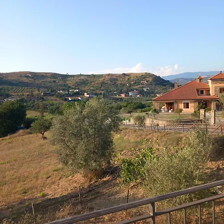 Villa Tra Uliveti E Mare Perdifumo